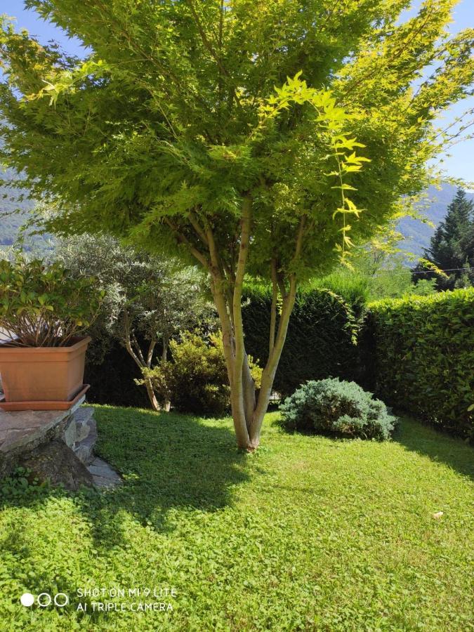 Casa Vacanza il Glicine Casale Corte Cerro Esterno foto