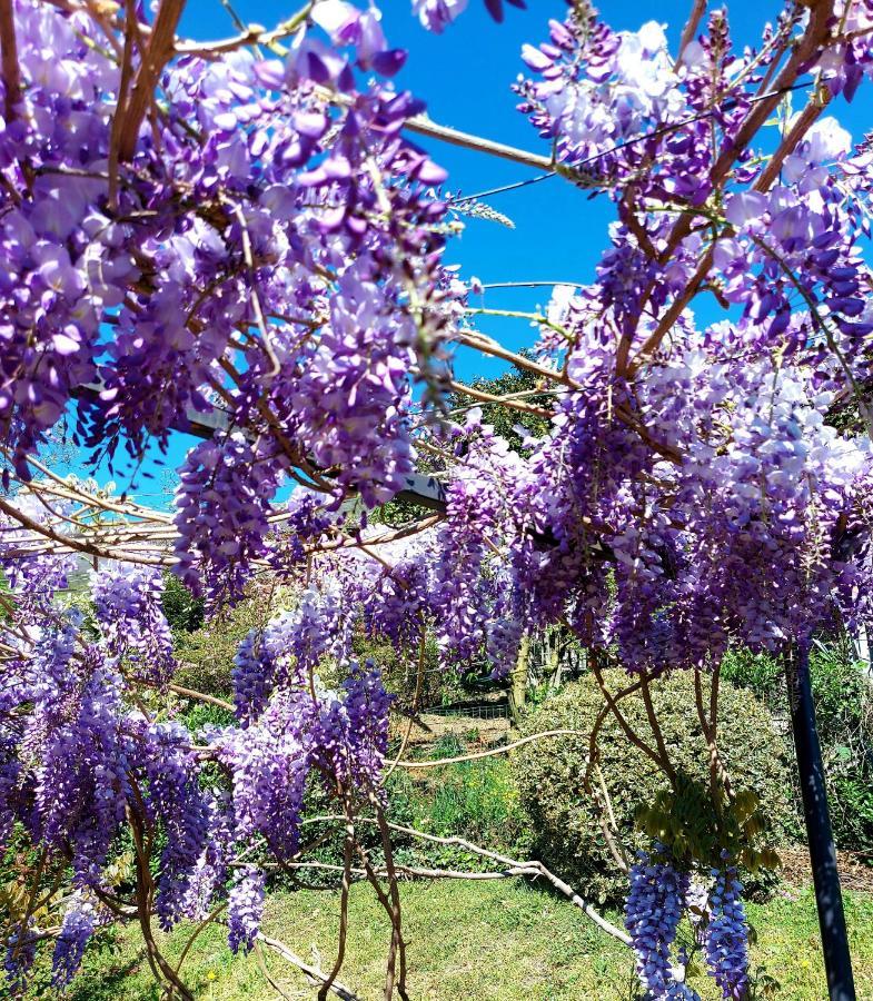 Casa Vacanza il Glicine Casale Corte Cerro Esterno foto