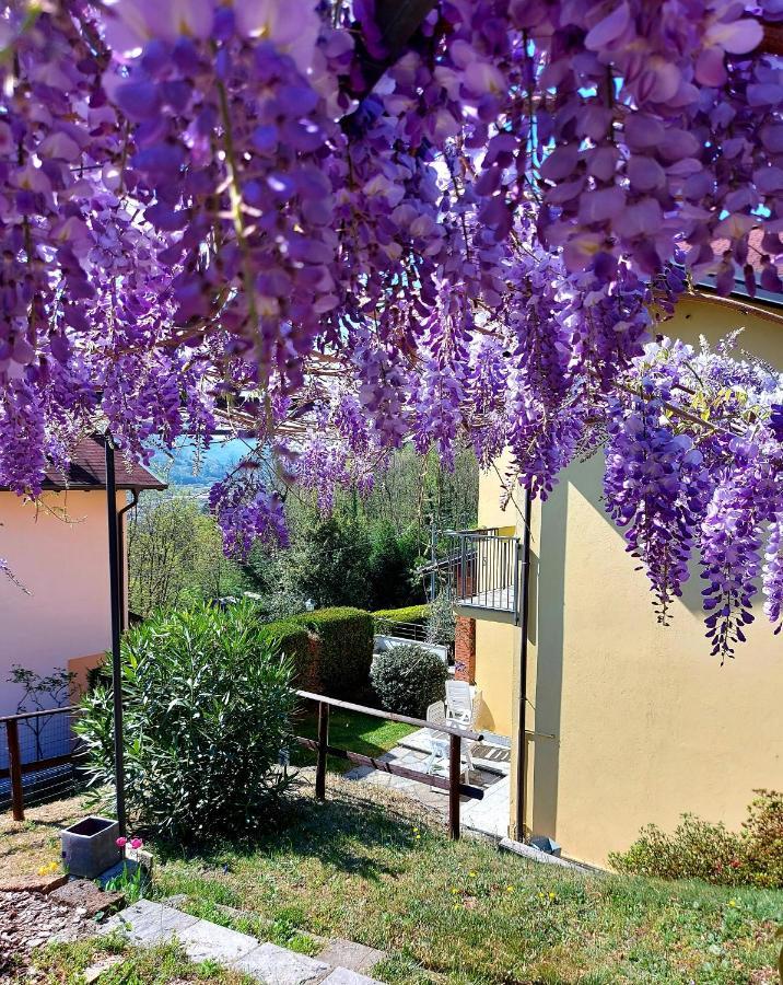 Casa Vacanza il Glicine Casale Corte Cerro Esterno foto
